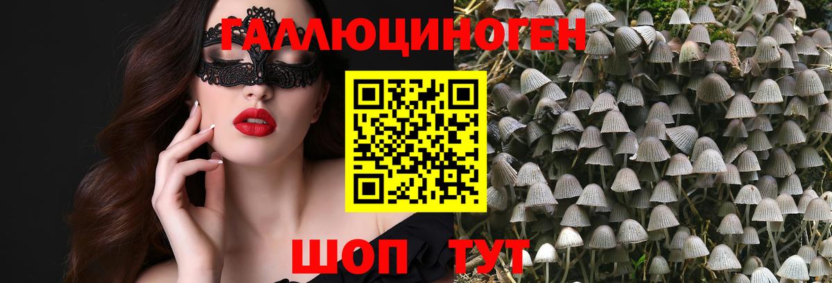 Галлюциногенные грибы мухоморы  Вход с VPN  Балашов 